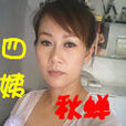 四姨秋蟬