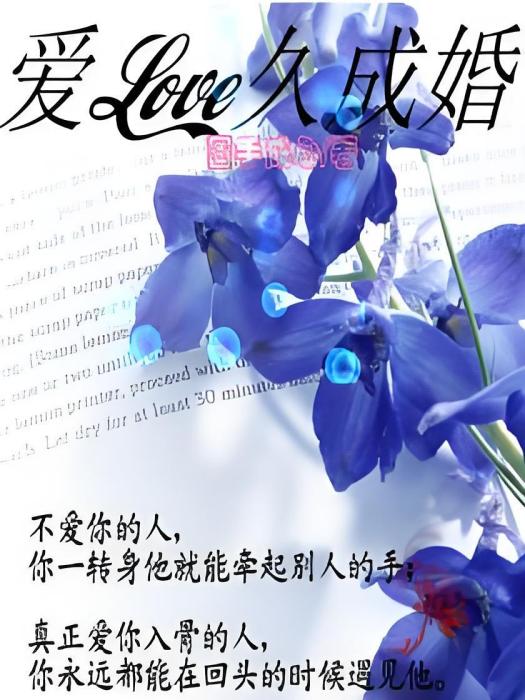 愛久成婚(圈手成心創作的網路小說) 愛久成婚(圈手成心創作的網路小說)