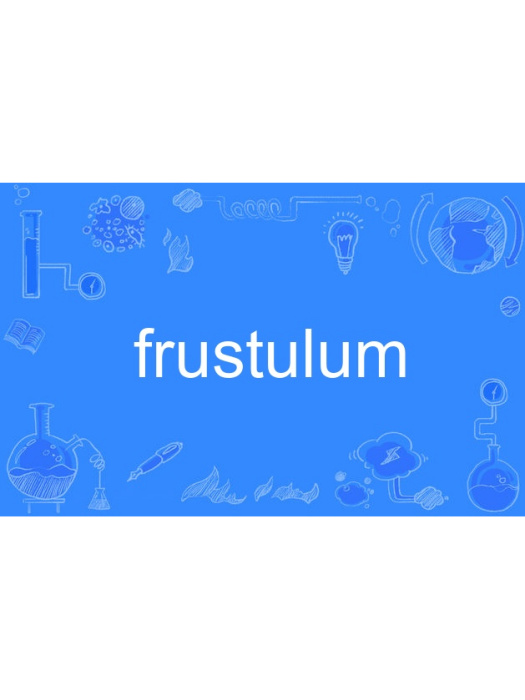 frustulum frustulum