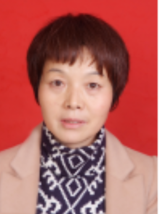 金麗娜(河南省鄧州市移民局黨組成員,副局長) 金麗娜(河南省鄧州市移民局黨組成員,副局長)