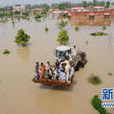 2010年巴基斯坦洪水