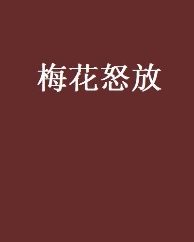 梅花怒放 梅花怒放
