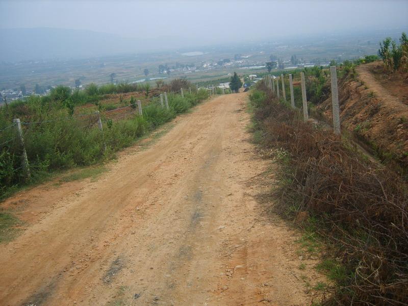 龍邑村 龍邑村