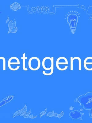 gametogenesis gametogenesis