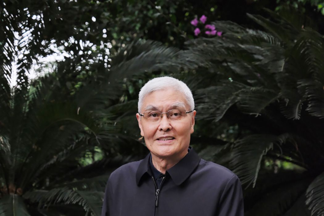 楊圭言 楊圭言