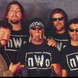 nwo nwo