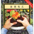 盆栽花藝 盆栽花藝