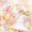 雪光之淚 雪光之淚