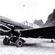 P-40E/K/M/N戰鬥機 P-40E/K/M/N戰鬥機