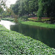 沿山河 沿山河
