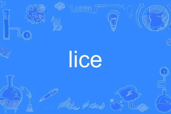 lice lice