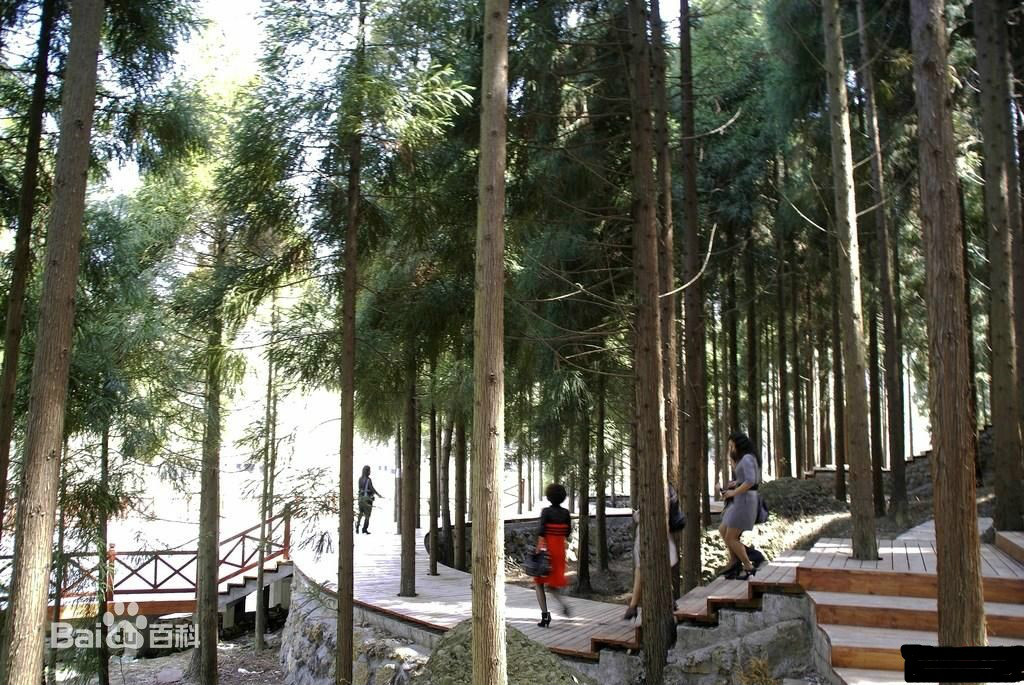 天曌山國家森林公園