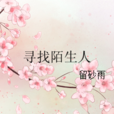 尋找陌生人 尋找陌生人