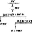 優先浮選 優先浮選