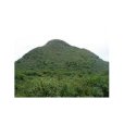 廟橫頭村 廟橫頭村