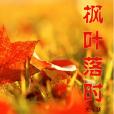 楓葉落時(網路小說) 楓葉落時(網路小說)