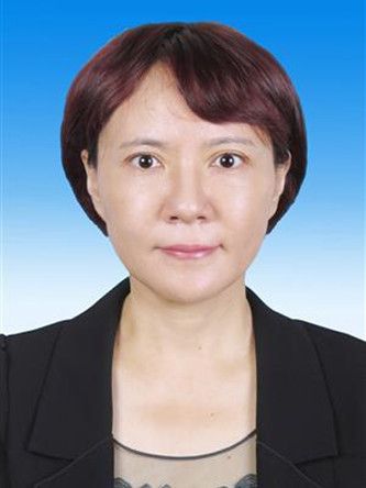曾佳(天津東疆保稅港區黨委副書記) 曾佳(天津東疆保稅港區黨委副書記)