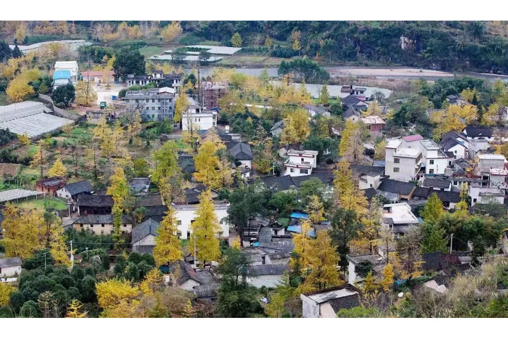 長洲村(桂林市興安縣漠川鄉下轄村) 長洲村(桂林市興安縣漠川鄉下轄村)
