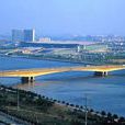 華南大橋 華南大橋