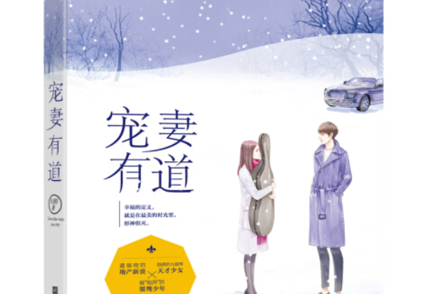 寵妻有道(2017年江蘇鳳凰文藝出版社出版的圖書) 寵妻有道(2017年江蘇鳳凰文藝出版社出版的圖書)