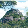 樟堯村 樟堯村