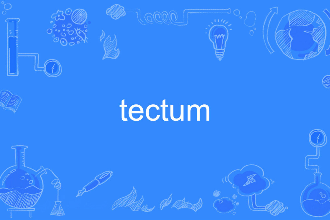 tectum tectum