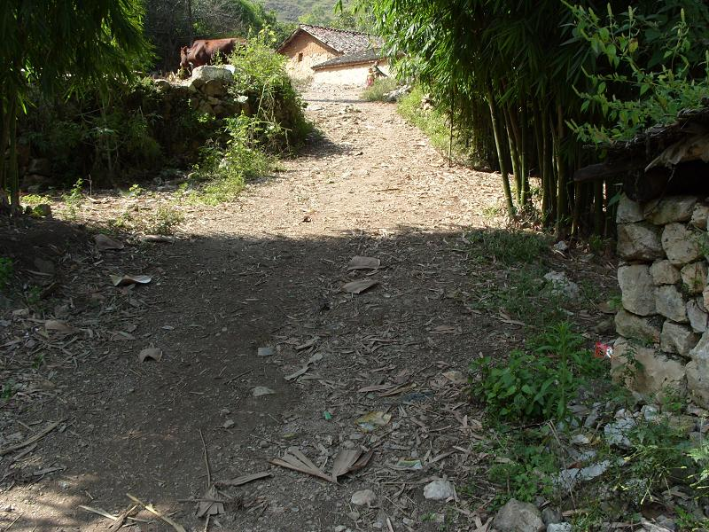 小龍伍苴村