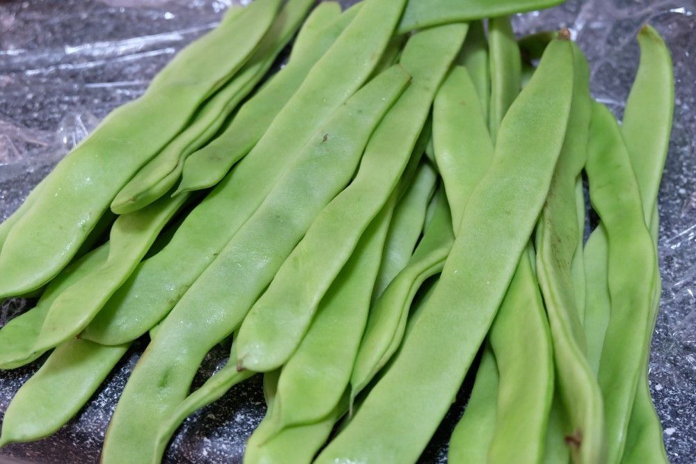 扁豆角 扁豆角