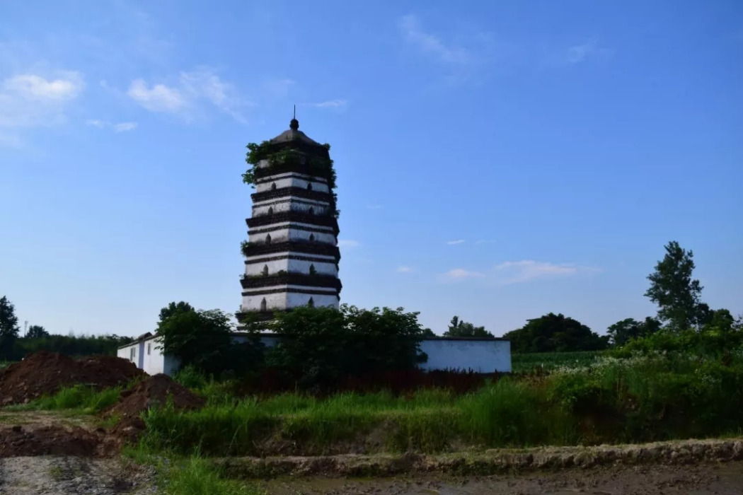 塔藏群 塔藏群