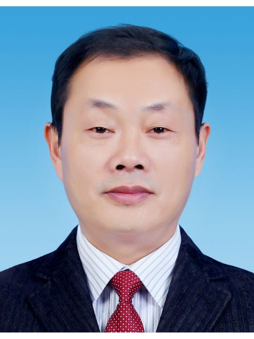 李棟(山東省濟寧市金鄉縣工業和信息化局黨組成員、三級主任科員) 李棟(山東省濟寧市金鄉縣工業和信息化局黨組成員、三級主任科員)