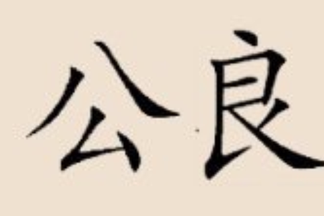 公良姓(公良) 公良姓(公良)