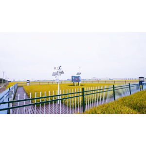 無人大田