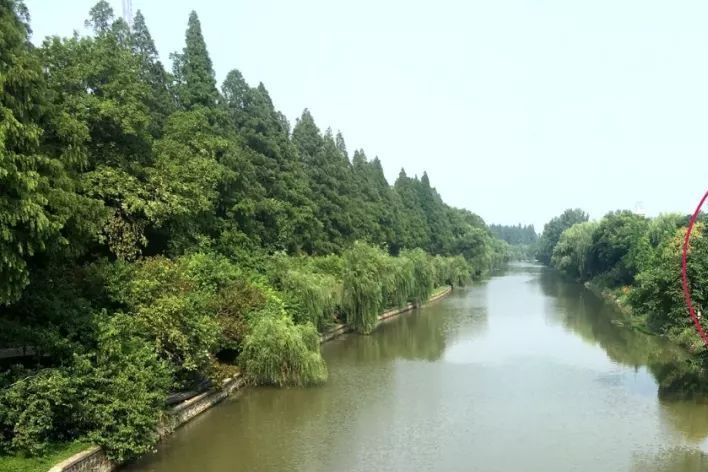 八棵樹河 八棵樹河