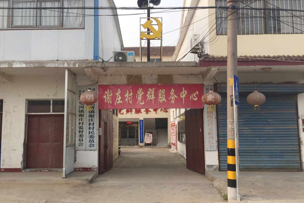 謝莊村(江蘇省宿遷市皂河鎮謝莊村) 謝莊村(江蘇省宿遷市皂河鎮謝莊村)