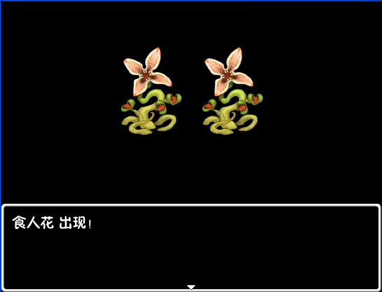 隨機遇敵 隨機遇敵