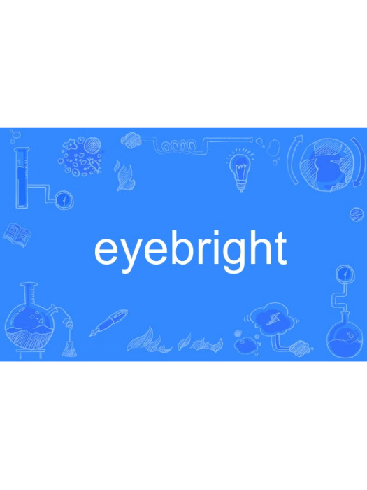 eyebright eyebright