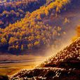 內蒙古特金罕山國家級自然保護區
