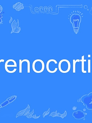adrenocortical adrenocortical