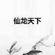 仙龍天下 仙龍天下