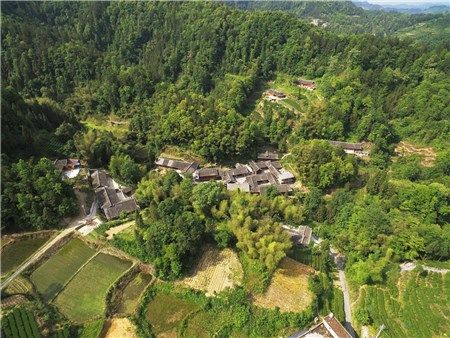 野椒園村 野椒園村
