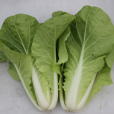 京研快菜 京研快菜