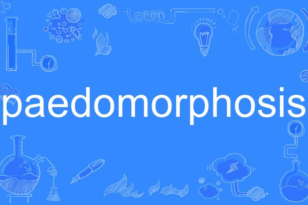 paedomorphosis paedomorphosis