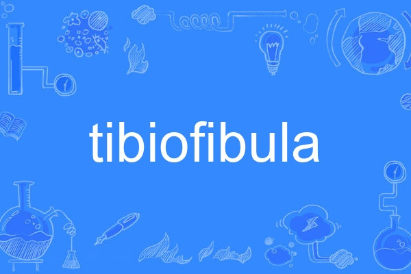 tibiofibula tibiofibula