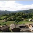 大竹林村(雲南宣威市羊場鎮舊營村下轄村) 大竹林村(雲南宣威市羊場鎮舊營村下轄村)