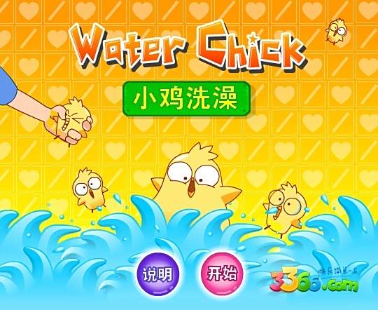 小雞洗澡