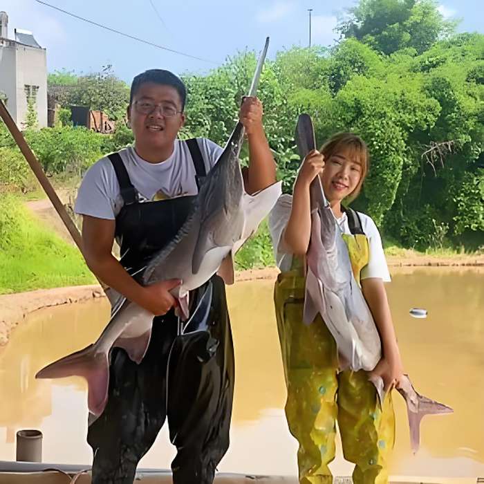 鄉約小楊 鄉約小楊