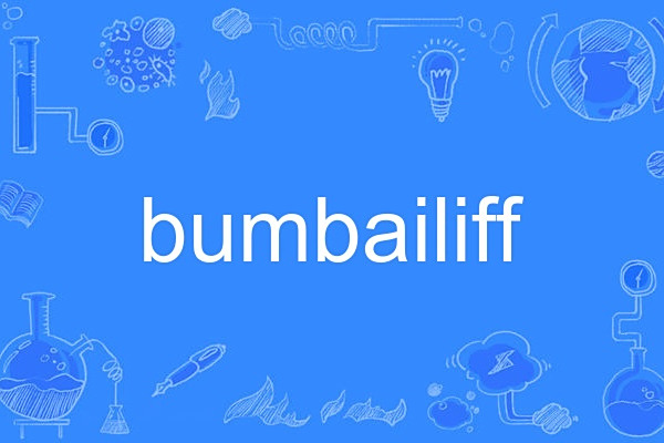 bumbailiff bumbailiff