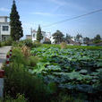 潘村村(安徽宣城市郎溪縣姚村鄉下轄村) 潘村村(安徽宣城市郎溪縣姚村鄉下轄村)