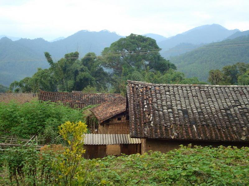 支前村 支前村