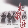 大剿匪 大剿匪